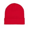 Knit Beanie (Embroidery)
