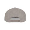 Flat Bill Snapback